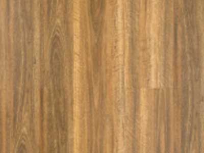 Eastern_Gum