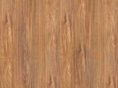 Spotted Gum