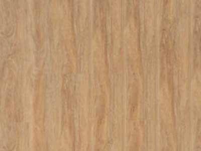 Tasmanian Oak