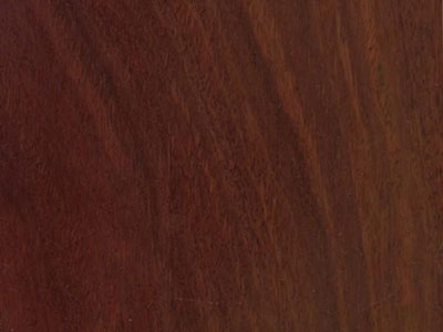 Jarrah