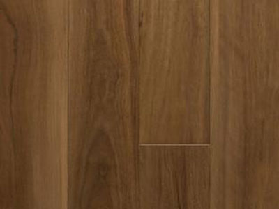 Spotted_Gum