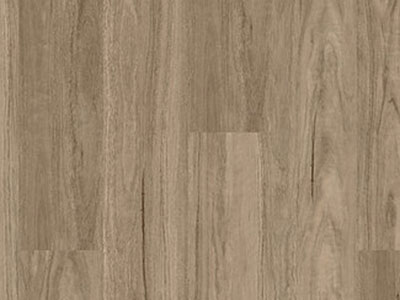 Grey_Gum