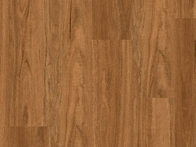 Northern_Spotted_Gum