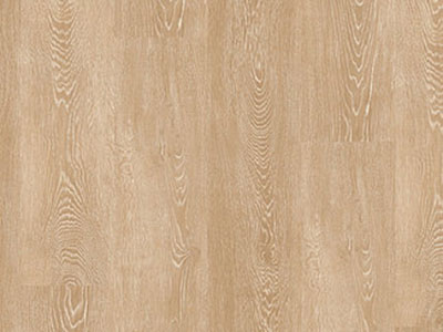 Silky_Oak