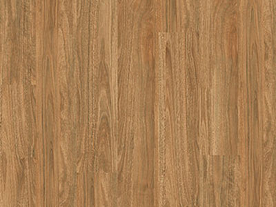 Spotted_Gum
